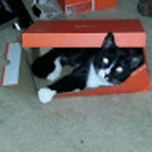 Meet your Posher, Chris